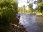 Backyard fishing, Riverside Cottage